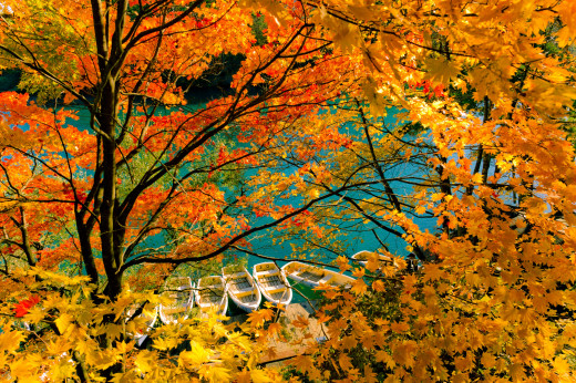 715439 (a): :3000x1993
